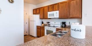 Galeria De Coronado Gallery 2