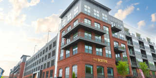 The Scottie Gallery 37