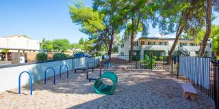 Icon on Pima Gallery 22