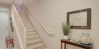 11924 Tulio Way Gallery 20