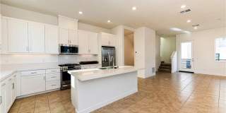 258 Sash 258 Sash Gallery 1
