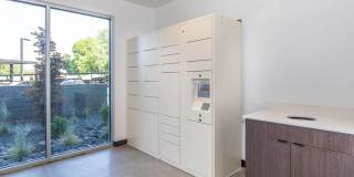 The Clara Gallery 14