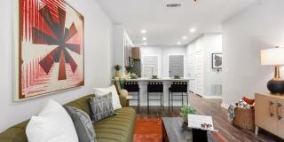 Lamar Union Gallery 10