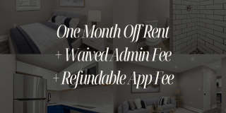 505 Collection Gallery 1