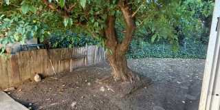 3 bedroom 1 bath duplex Gallery 20