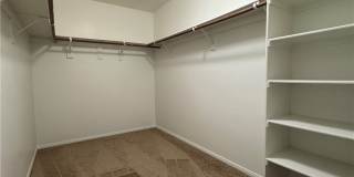 5029 IVY CREEK Court Gallery 33