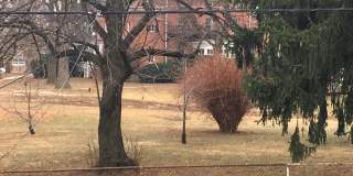 345 OLD TRAIL RD Gallery 34