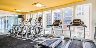 Indigo 19 Gallery 20