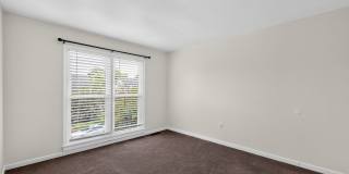 Charming 3BR House in Richmond Close to VCU Charming 3BR House in Richmond Close to VCU Gallery 20