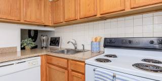 Nutmeg Woods Gallery 20