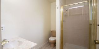 Spacious 4 Bedroom in Mid-Town Fort Collins Gallery 15
