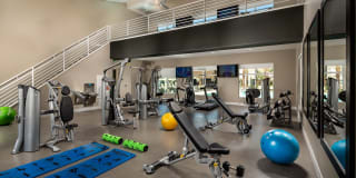 Terrano Gallery 15
