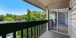 6184 Pinewood Court Gallery 8