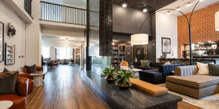 NOVEL Scotts Addition Gallery 138