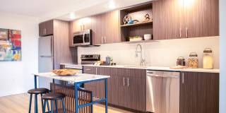 Scouter's Mountain Gallery 11