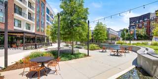 Ellison Parkview Gallery 45