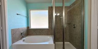 Viewable Now!  Small Pets Accepted! Gallery 33