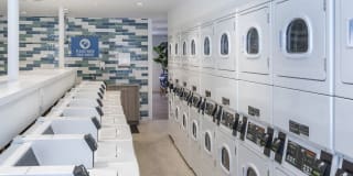 View Carlton Arms Gallery 41