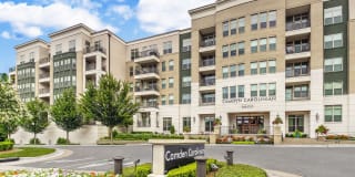 Camden Carolinian Gallery 50