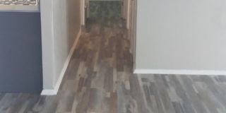 Large Apartments and beautiful outdoor green spaces! Gallery 3