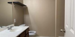 510 Indian Paintbrush Gallery 11