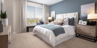 Homecoming at The Resort Apartments Gallery 28