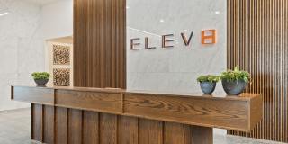 Elev8 Gallery 29