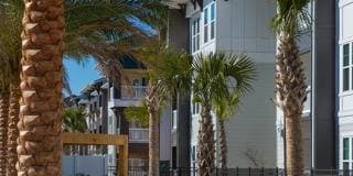 Sea Glass Gallery 19