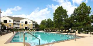 Reed Creek Gallery 13