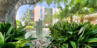 Sugarmill West Gallery 26