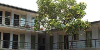 Penthouse Gallery 108