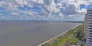 4015 BAYSHORE BLVD, #17F, TAMPA, FL 33611 Gallery 12