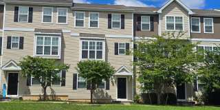 47 TYNDALL Trail Gallery 1
