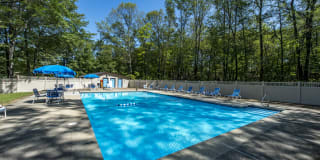 Redwood Hills Gallery 22