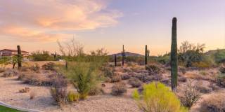 29705 N 69th Place Gallery 32