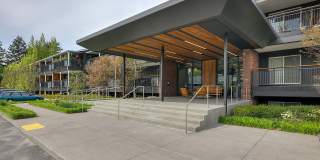 Cedar Hills Gallery 36