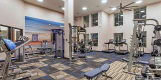 Arista at Ocotillo by Mark-Taylor Gallery 3