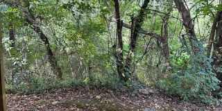 123 Eaglewood Way Gallery 22