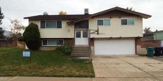262 E 1165 N Gallery 5