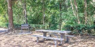 Vivo Living Ivy Creek Gallery 4