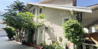339 North Louise Street Gallery 1