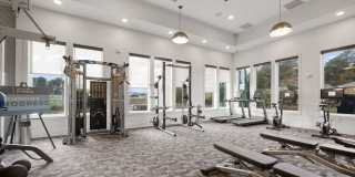 Allora Pines Gallery 27