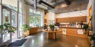 16 Powerhouse Gallery 20