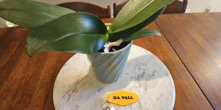 37800 Da Vall Drive unit: 12 Gallery 42