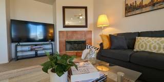 49544 Wayne Street Gallery 37