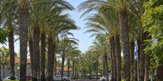 Montecito Gallery 17