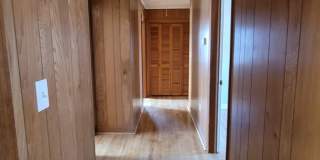 206 Columbia Ave, Chapin SC 29036 Gallery 16