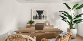 Coconut Palm Club Gallery 27