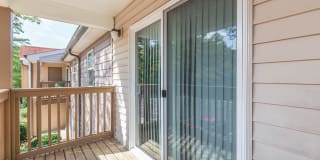 Sussex Downs Gallery 52