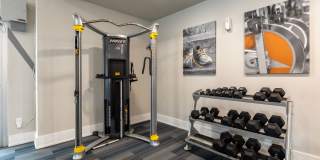 Emerson at Ford Park Gallery 16